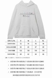 Picture for category Alexander Wang Hoodies